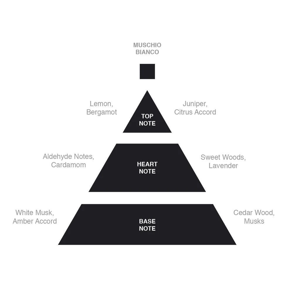 Acca Kappa White Moss Solid Perfum 10ml - 4.jpg