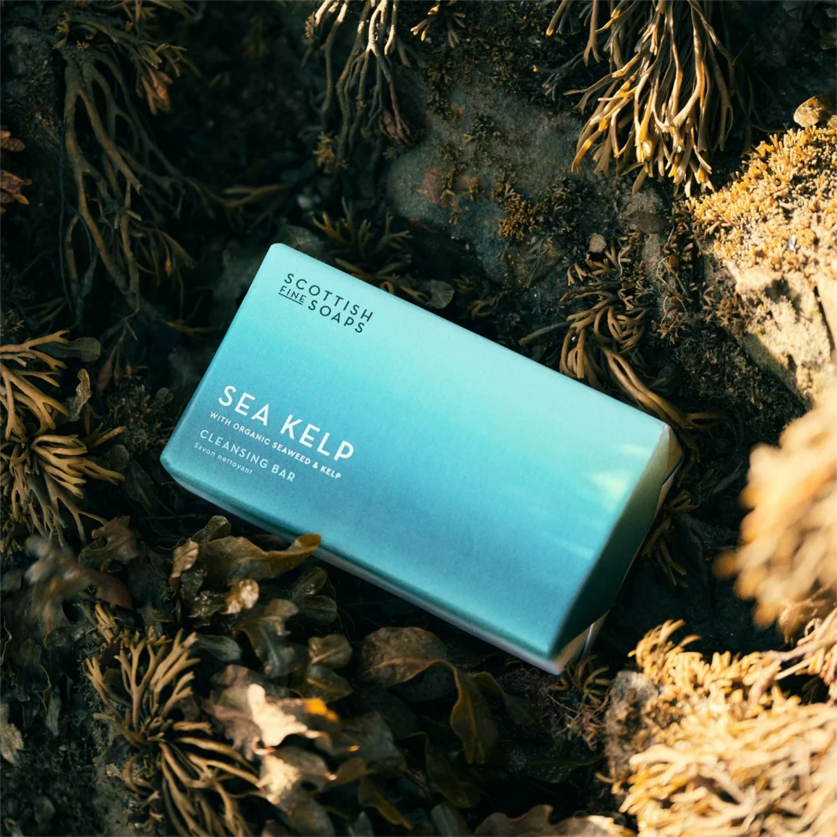 Scottish Fine Soaps Cleansing Soap Bar 220g (Sea Kelp)